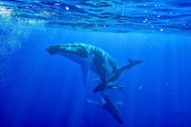Three humpbacks in blue · Below