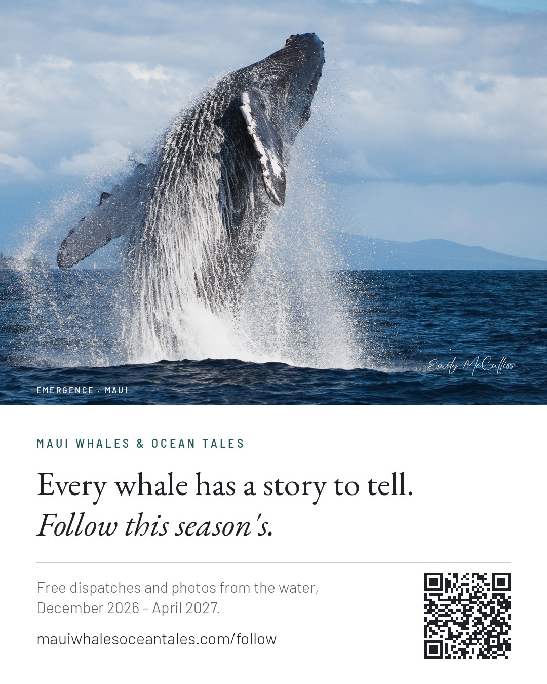 Whale card: a humpback breaching, with the line 'Every whale has a story to tell. Follow this season's.' and a QR code